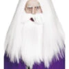 Smiffys Magician Wig Set -Cosplay Equipment Store 42205