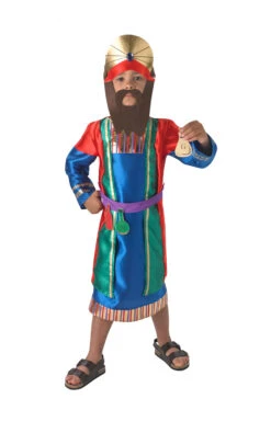 Deluxe Wiseman Boys Costume -Cosplay Equipment Store 610509 1