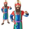 Deluxe Wiseman Boys Costume -Cosplay Equipment Store 610509 costume