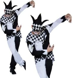Masked Jester Mens Costume