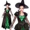 Wicked Emerald Witch Queen -Cosplay Equipment Store emerald witch 2