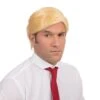 Mr President Wig -Cosplay Equipment Store president 1