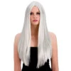 Wicked Classic Long Silver Wig -Cosplay Equipment Store straight silver eb93b608 7439 41df a799 19def7d0695d