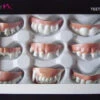 Smiffys Teeth And Fangs, Assorted Styles -Cosplay Equipment Store teeth and fangs