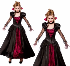 Wicked Adult Vampire Queen Costume