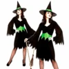 Adult Wicked Witch Costume -Cosplay Equipment Store wickdewitch